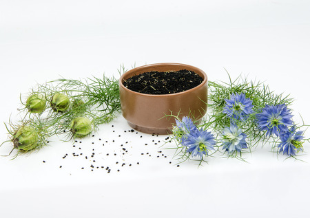 Herbal Medicine: Black Seed