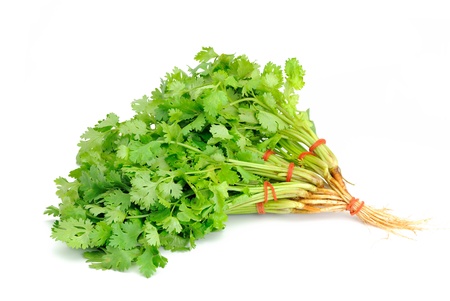 Herbal Medicine: Cilantro