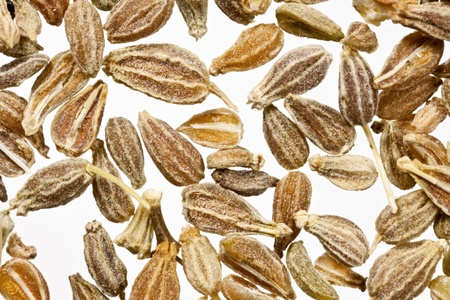 Herbal Medicine: Ajwain seed