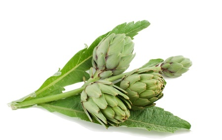 Herbal Medicine: Artichoke