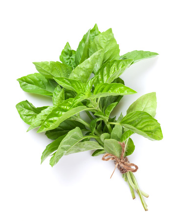 Herbal Medicine: Basil