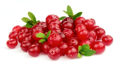 Herbal Medicine: Cranberries