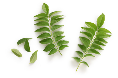 Herbal Medicine: Curry leaves
