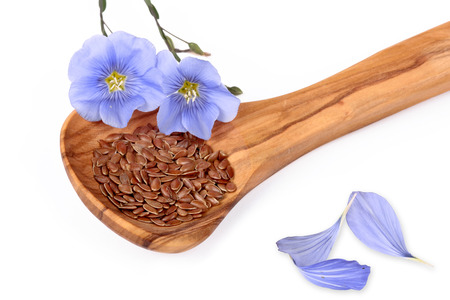 Herbal Medicine: Flaxseed