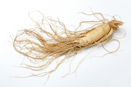 Herbal Medicine: Ginseng