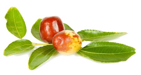 Herbal Medicine: Jujube