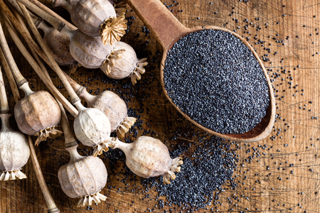 Herbal Medicine: Poppy seeds