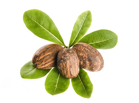 Herbal Medicine: Shea