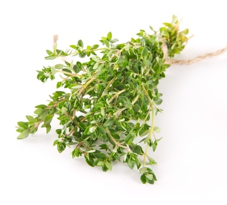 Herbal Medicine: Thyme