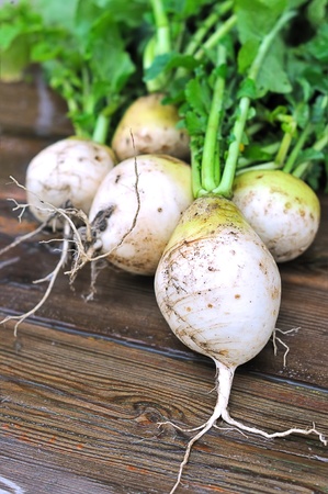 Herbal Medicine: Turnip